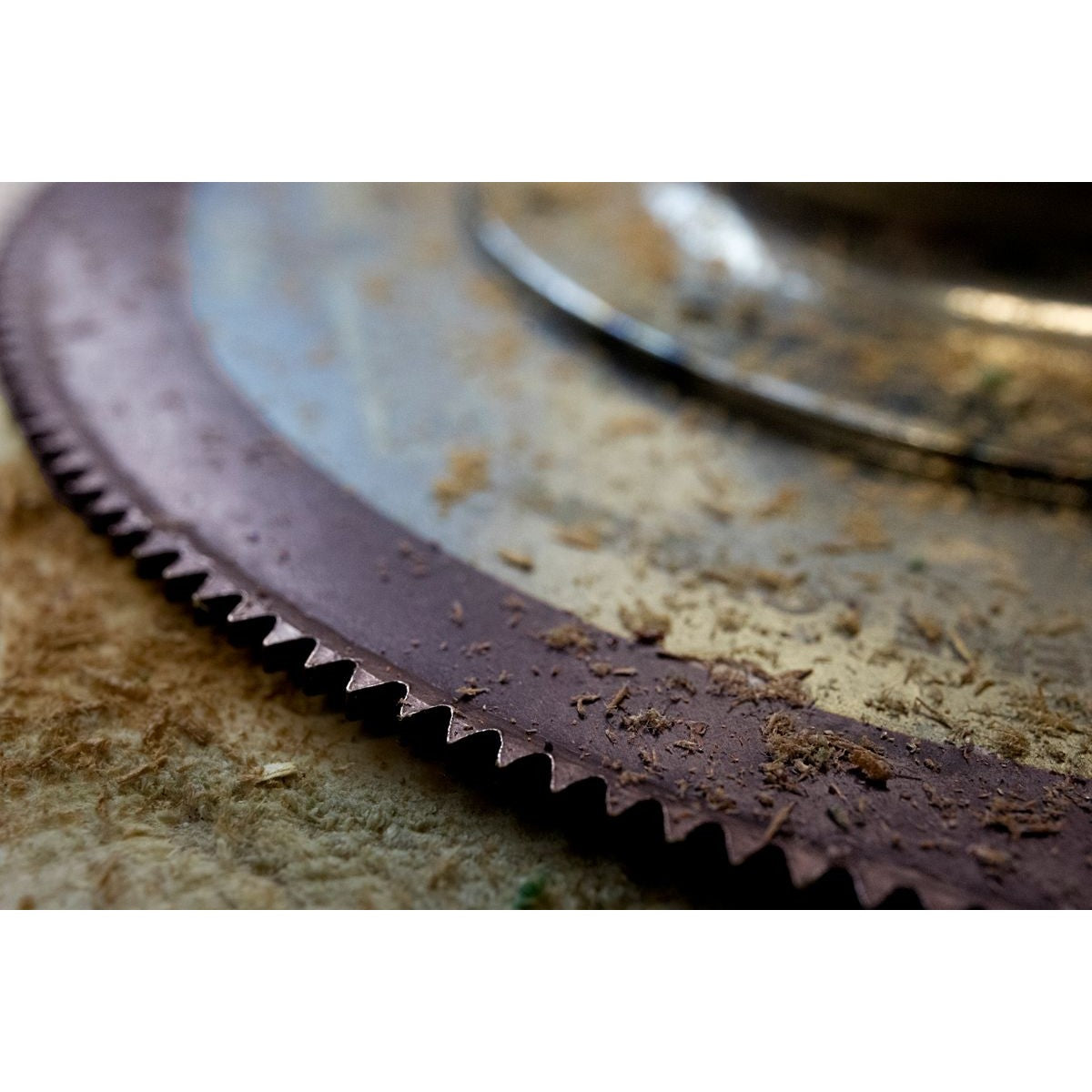 SMART Purple Series 90mm Ultimate Segment Blade - Pk 1 P90TN1