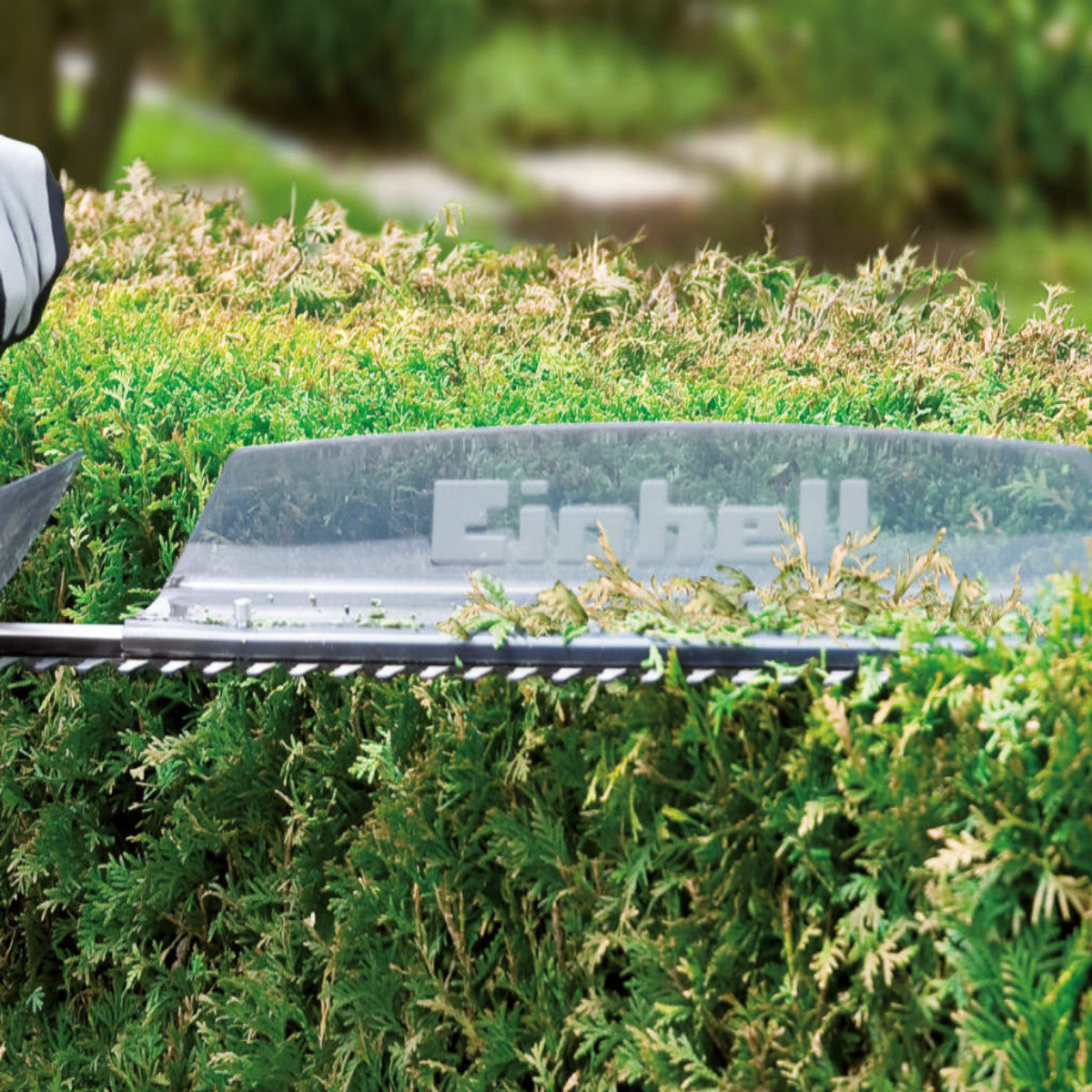 Einhell GC-CH 1855/1 Li-Solo Hedge Trimmer 55cm 18V Bare Unit EINGCCH1855N
