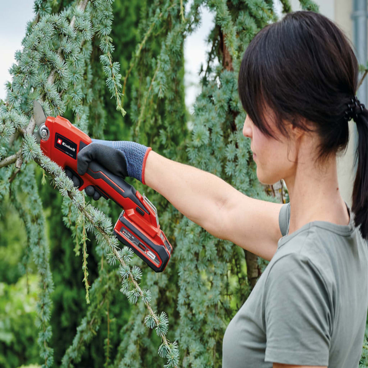 Einhell GE-LS 18 Li-Solo Power X-Change Pruning Shears 18V Bare Unit EINGELS18N