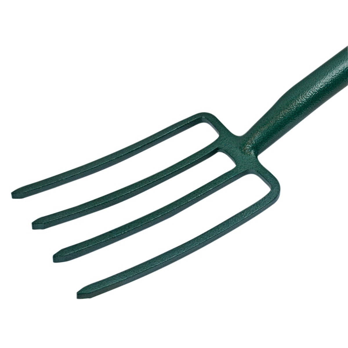 FAICOUDF
