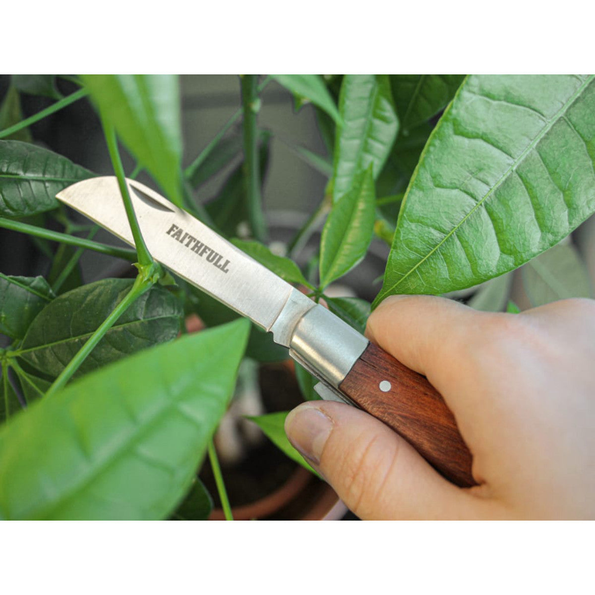 FAICOUKNIFE