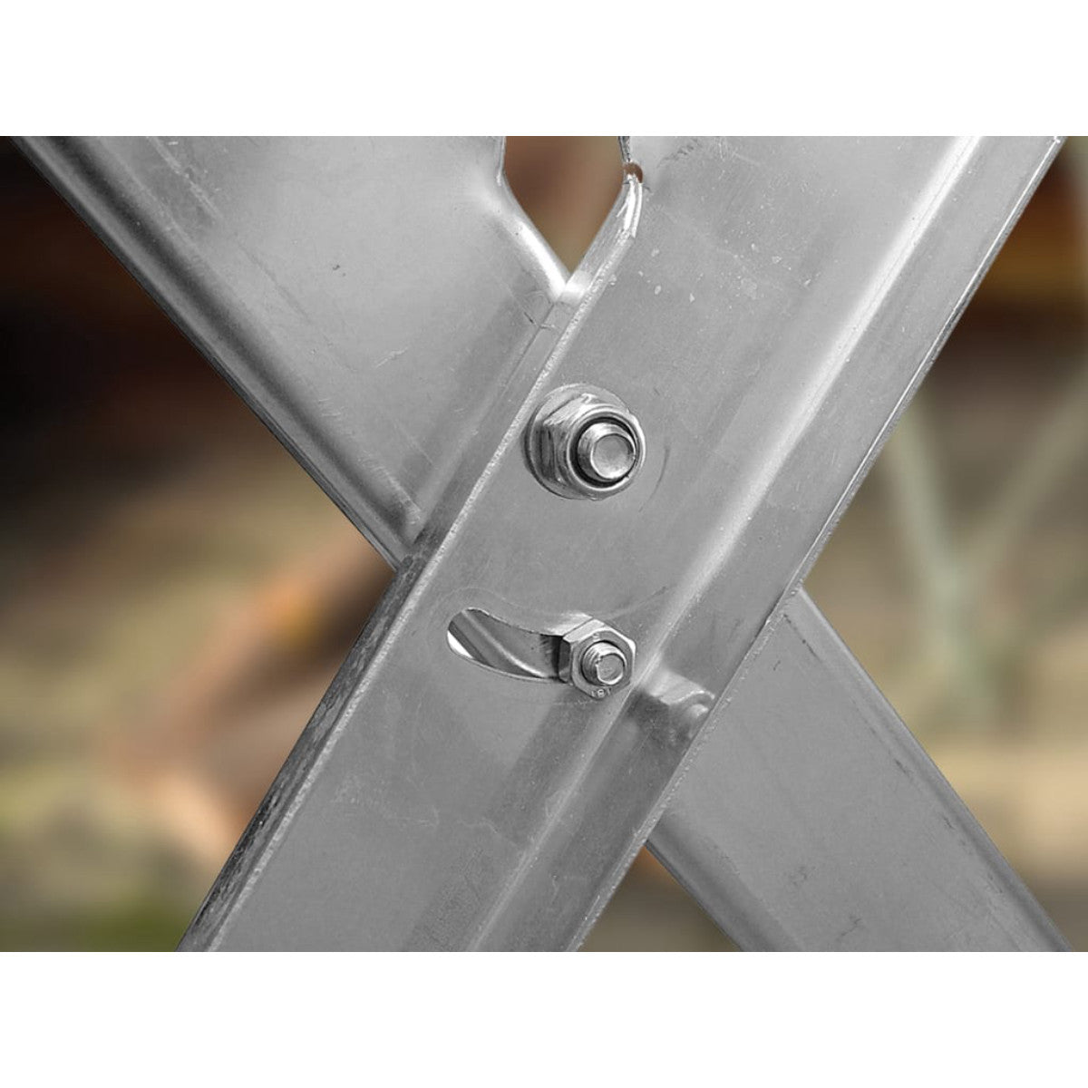 FAISAWHORSE
