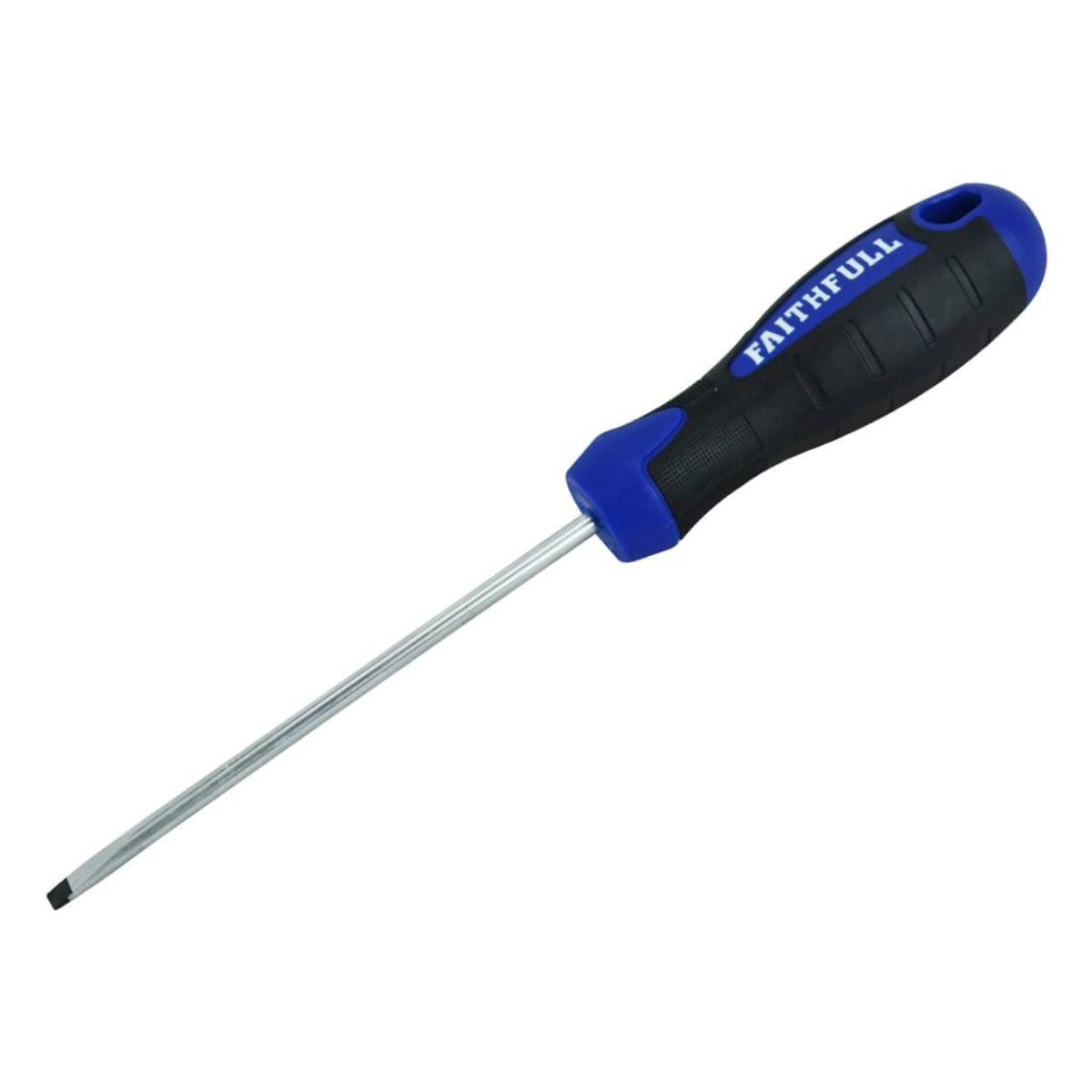 FAISDP100