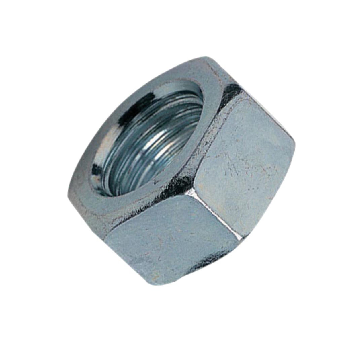 ForgeFix Hexagon Nut ZP M20 Bag 10 FORNUT20M