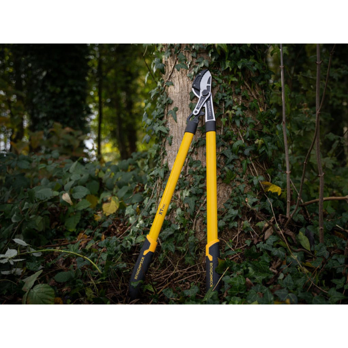 Roughneck XT Pro Anvil Loppers 765mm (30in) ROU66865