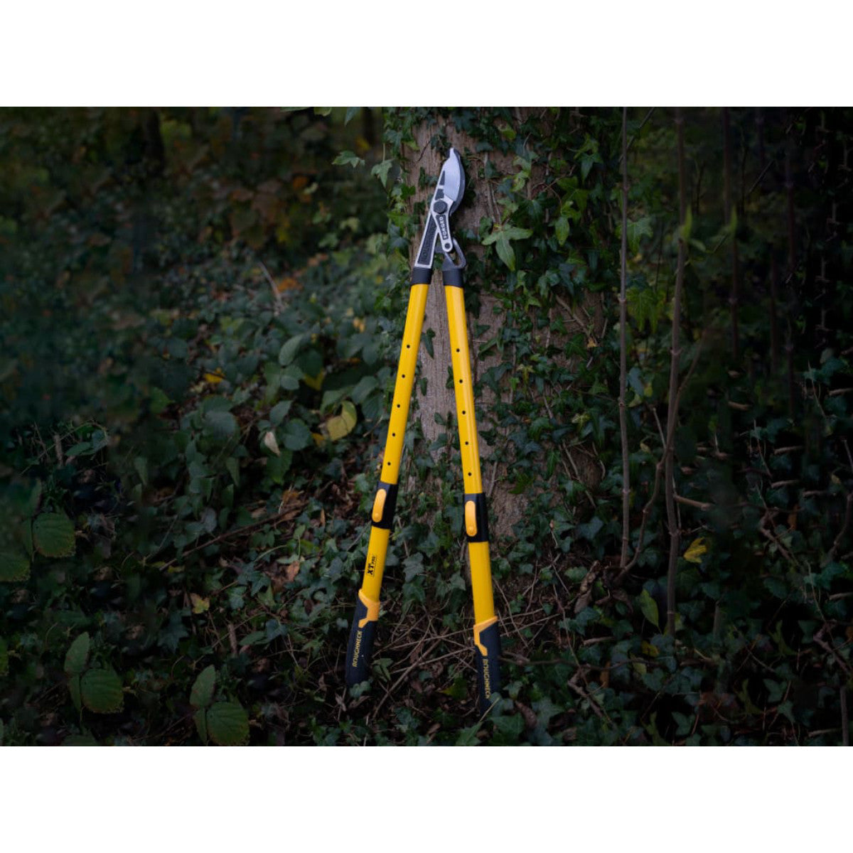 Roughneck XT Pro Telescopic Bypass Loppers 695-945mm (27.1/2-37.3/4in) ROU66868