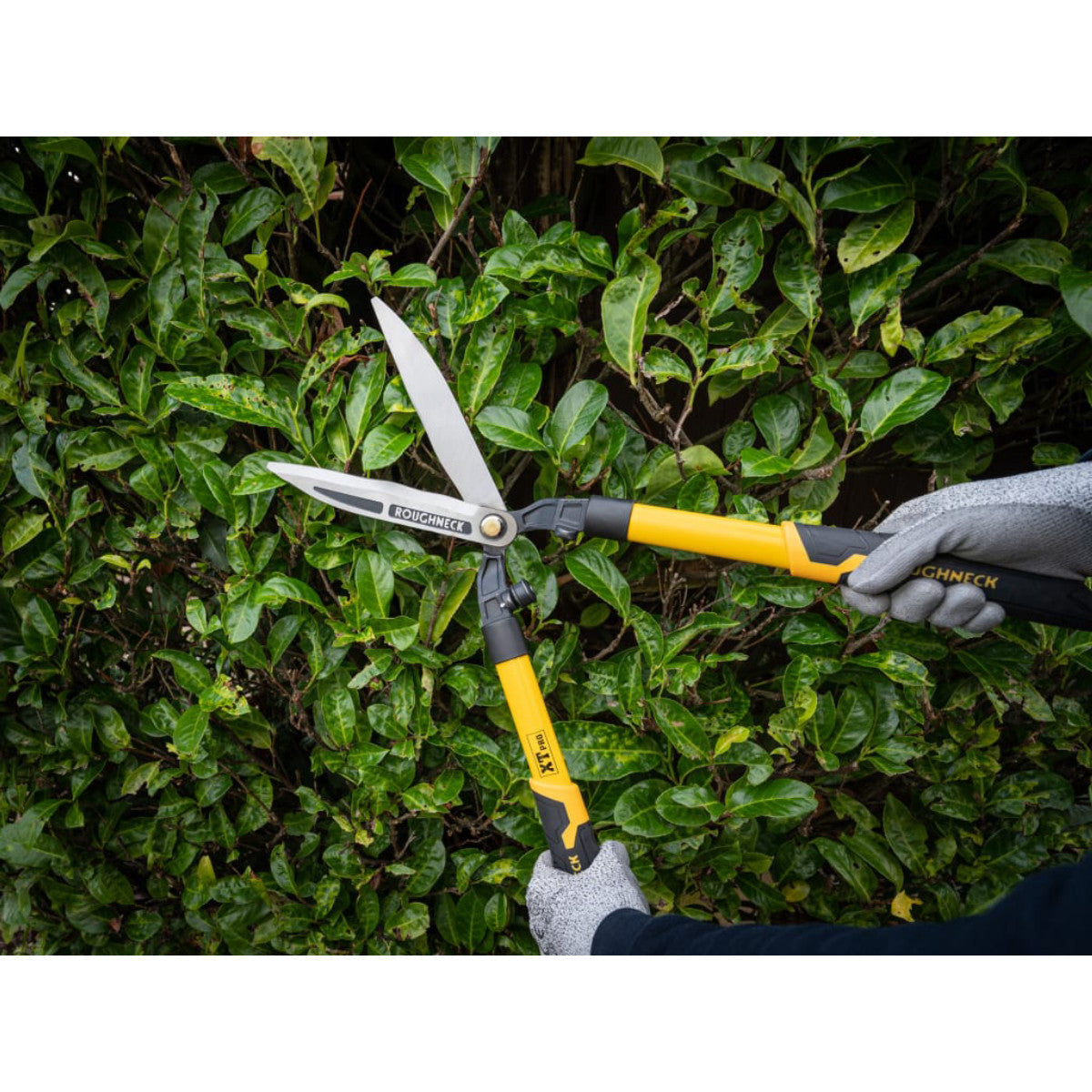 Roughneck XT Pro Hedge Shears 635mm (25in) ROU66870