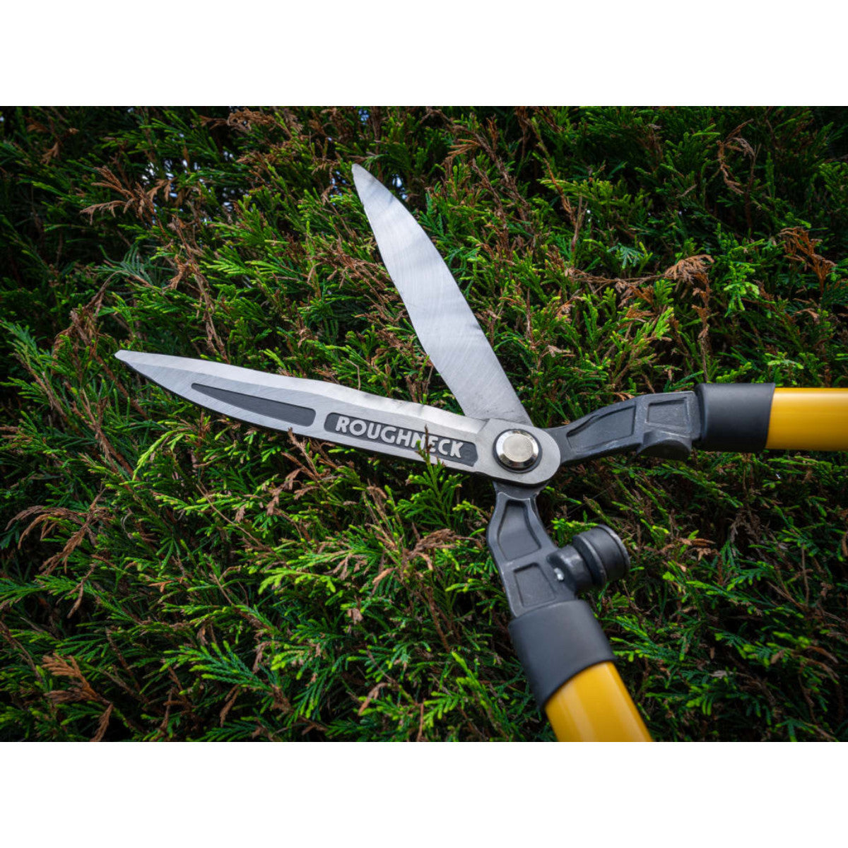 Roughneck XT Pro Hedge Shears 635mm (25in) ROU66870