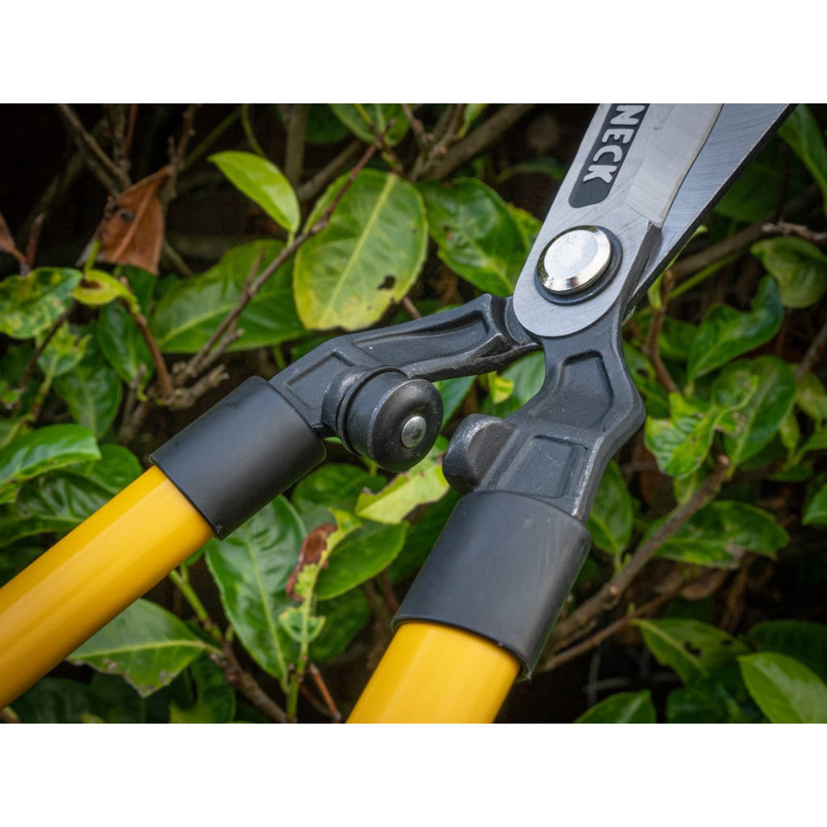 Roughneck XT Pro Telescopic Hedge Shears 700-895mm (27.1/2-35.1/4in) ROU66871